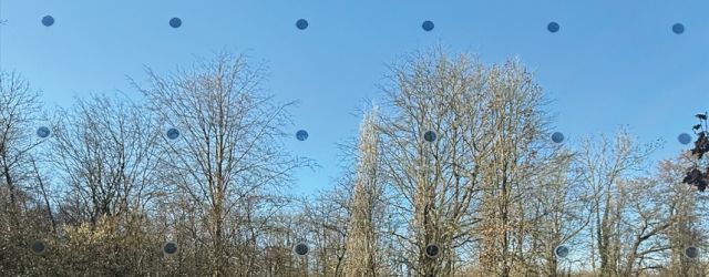 Die nächste Generation für Schutzmaßnahmen an Gebäudeverglasungen 2026_03_10_v_b_haverkamp-vogelschutzfolie_autoglaser_de_folie_de_1200